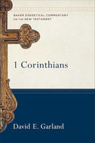 Cover image for 1 Corinthians, isbn: 9780801026300
