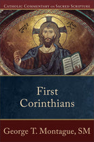 Cover image for First Corinthians, isbn: 9780801036323