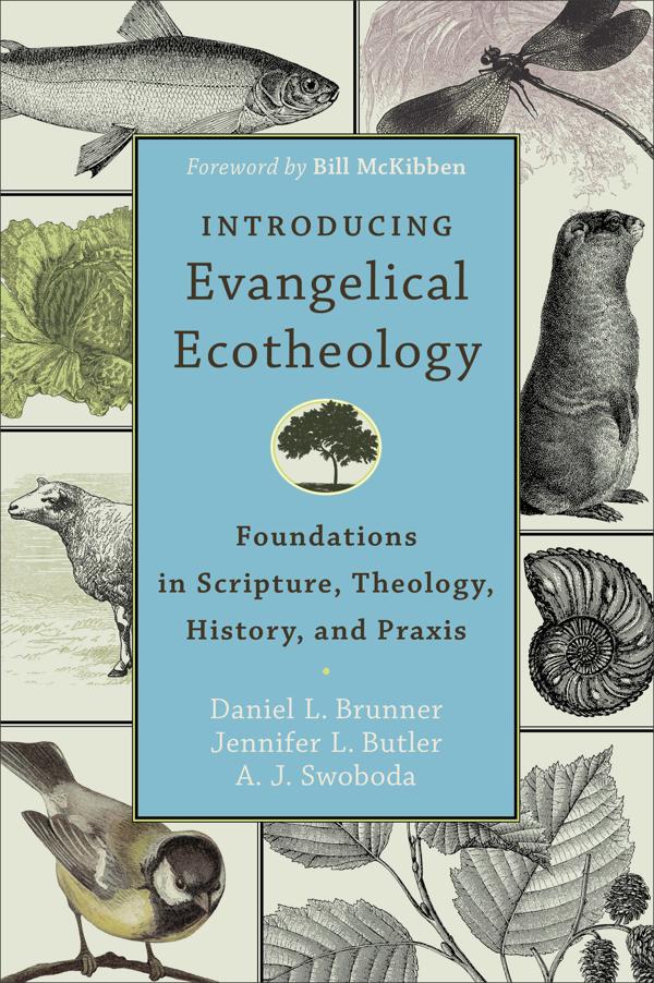Cover image for Introducing Evangelical Ecotheology, isbn: 9780801049651