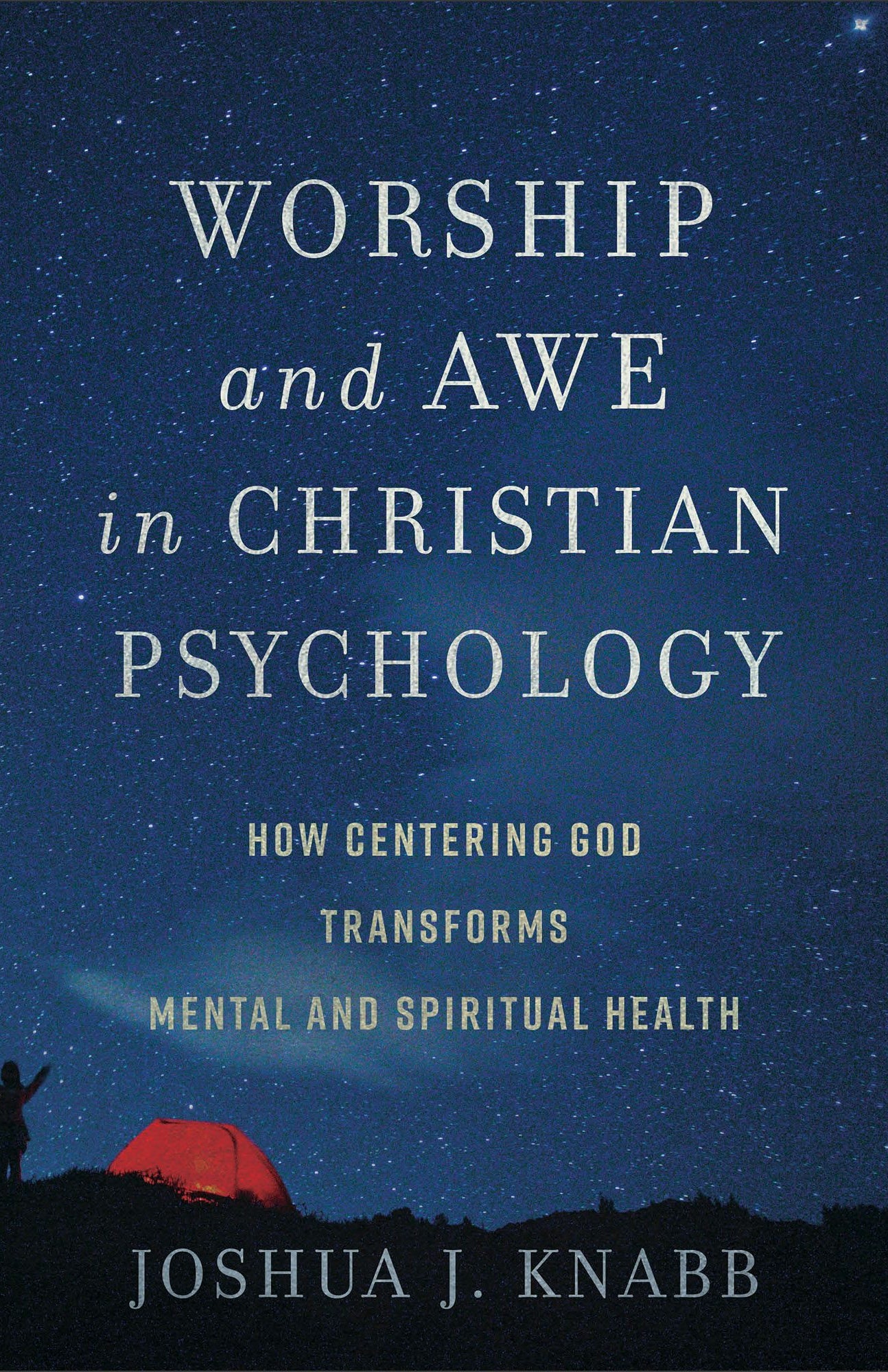 Cover image for Worship and Awe in Christian Psychology, isbn: 9781540968562