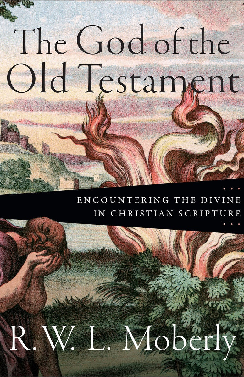 Cover image for The God of the Old Testament, isbn: 9781540972019