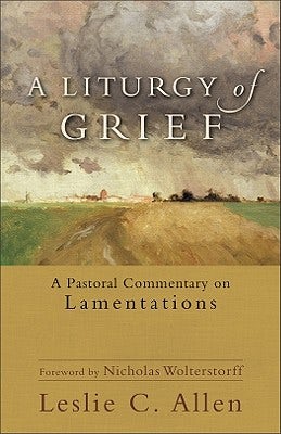 Cover image for A Liturgy of Grief, isbn: 9780801039607