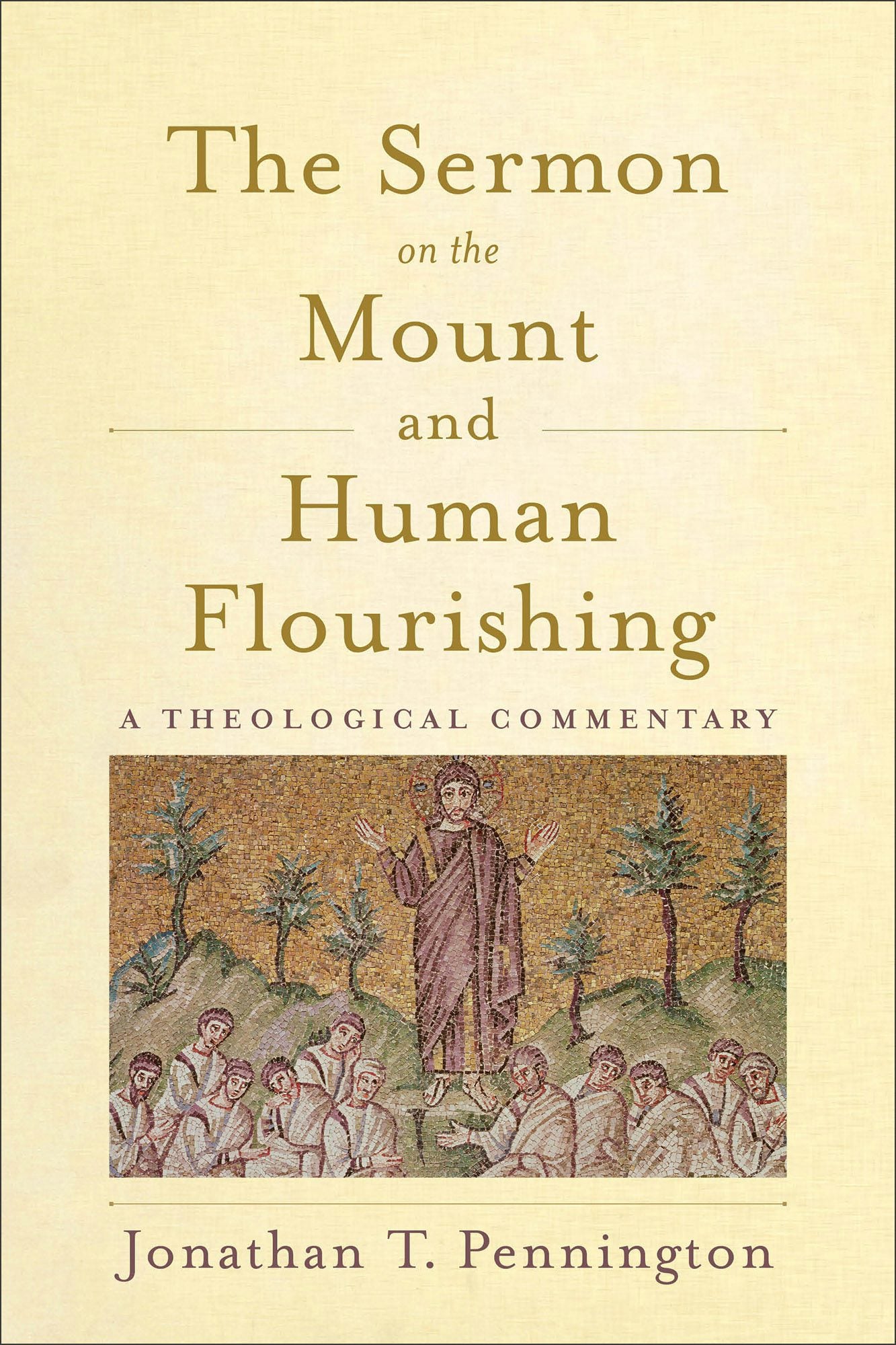Cover image for The Sermon on the Mount and Human Flourishing, isbn: 9781540960641