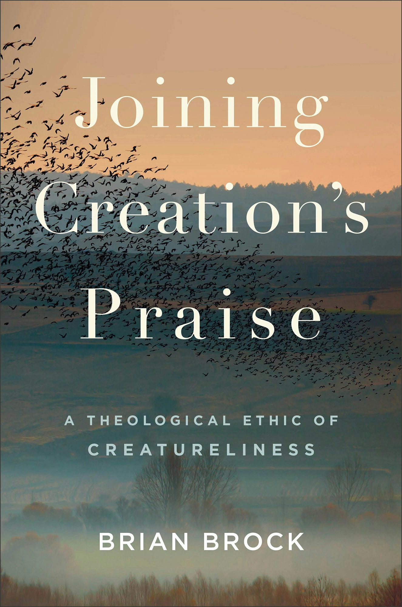 Cover image for Joining Creation's Praise, isbn: 9781540963260